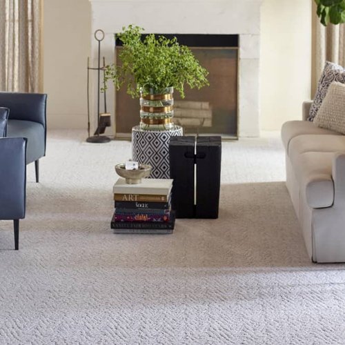 Living Room Pattern Carpet - Smiddy's CarpetsPlus COLORTILE in Terre Haute, IN